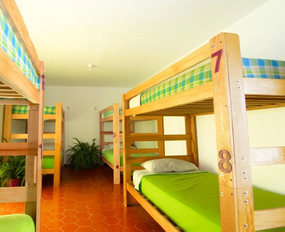 ** Guest house Hostal Casa Colores Adults Only Guadalajara Mexico