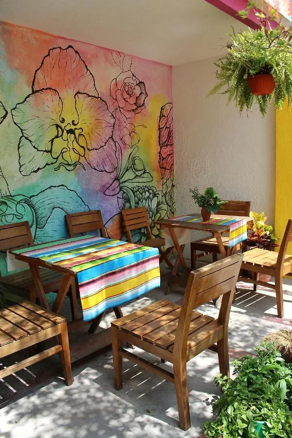Hostal Casa Colores Adults Only Guadalajara Guest house